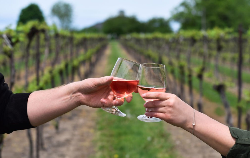 Dégustation de vins